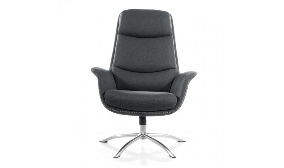 Armchair REGAN TAP 176 grey | 100% laatu Armchair REGAN TAP 176 grey | Nojatuolit | ZIPhome.ee kuva 2