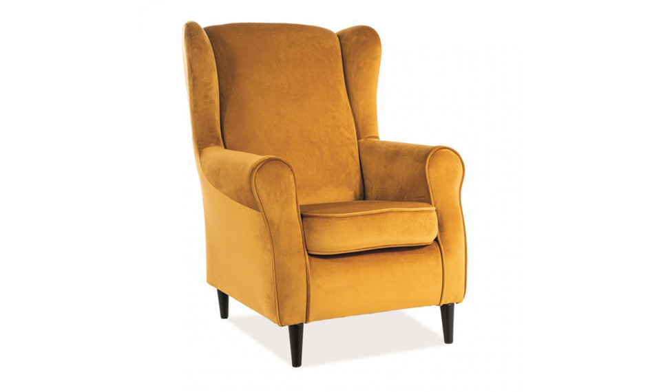 Armchair BARON VELVET BLUVEL 68 curry | 100% Quality Armchair BARON VELVET BLUVEL 68 curry | Armchairs | ZIPhome.ee image 1