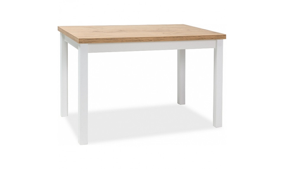 ADAM Söögilaud 100x60 Tamm LANCELOT/Valge | 100% kvaliteet ADAM Söögilaud 100x60 Tamm LANCELOT/Valge | Lauad | ZIPhome.ee pilt 1