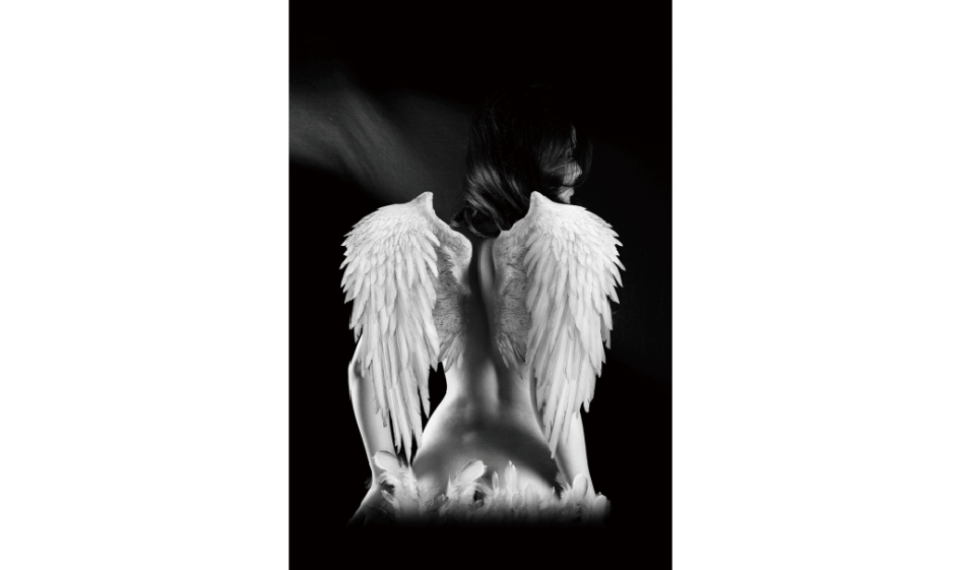 ANGEL Pilt | Aksessuaarid | ZIPhome.ee pilt 1