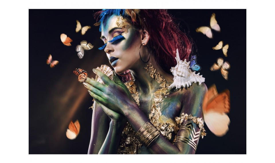 BUTTERFLY Картина на стекле | Картины | ZIPhome.ee изображение 1