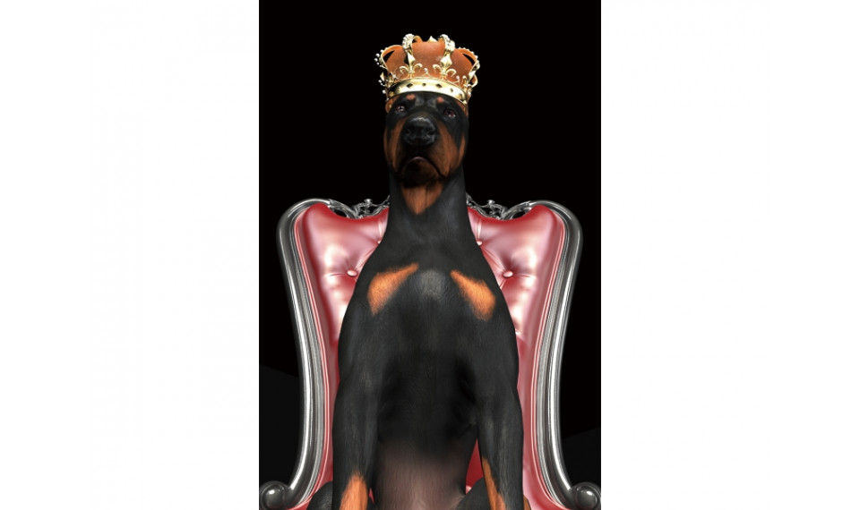 DOG IN CROWN Картина на стекле | Картины | ZIPhome.ee изображение 1