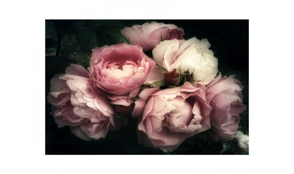 FLOWERS I Картина на стекле | Картины | ZIPhome.ee изображение 1