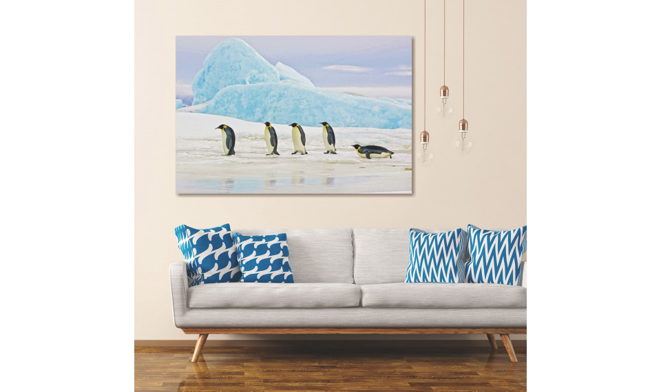 PENGUINS Картина на стекле | Картины | ZIPhome.ee изображение 3