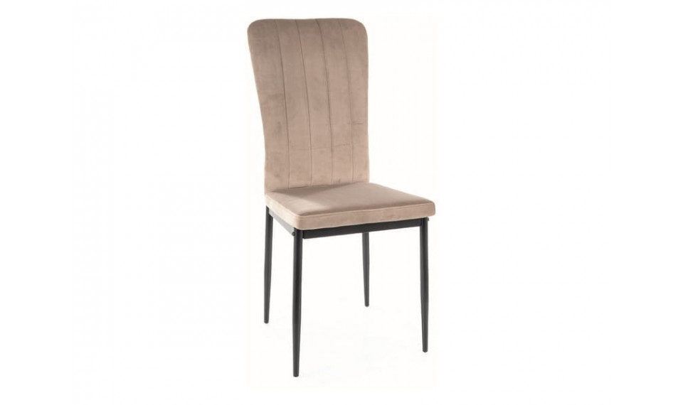 VIGO Chair VELVET Bluvel 40 dark beige | Chairs and swivel chairs | ZIPhome.ee image 1