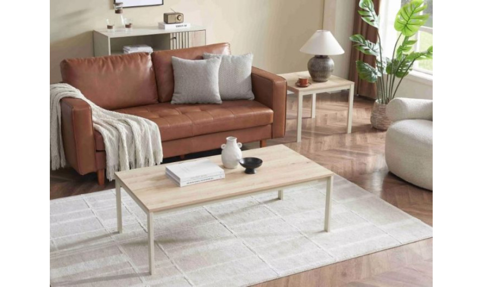 Sohvapöytä FROST L1 tammi/valkoinen 120x60 cm | Kahvipöydät | ZIPhome.ee kuva 3