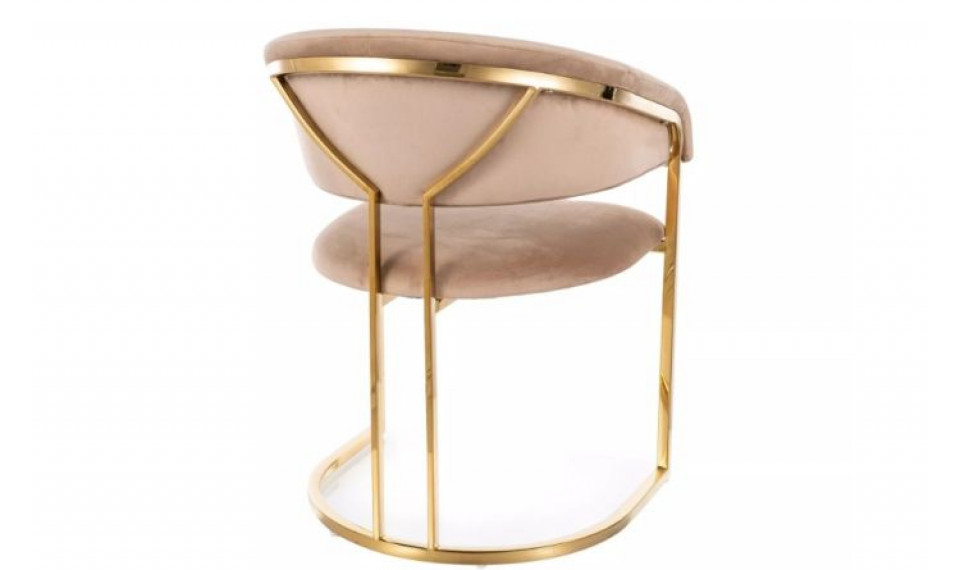 Chair TULIPE velvet Bluvel 28/gold | Chairs | ZIPhome.ee image 2