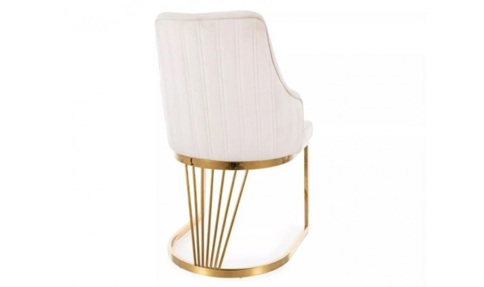 ALURE бархатный стул Bluvel 22/gold | Стулья | ZIPhome.ee изображение 2