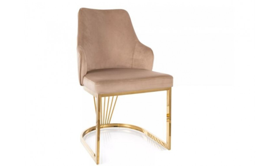 Chair ALURE velvet Bluvel 28/gold | Chairs | ZIPhome.ee image 1