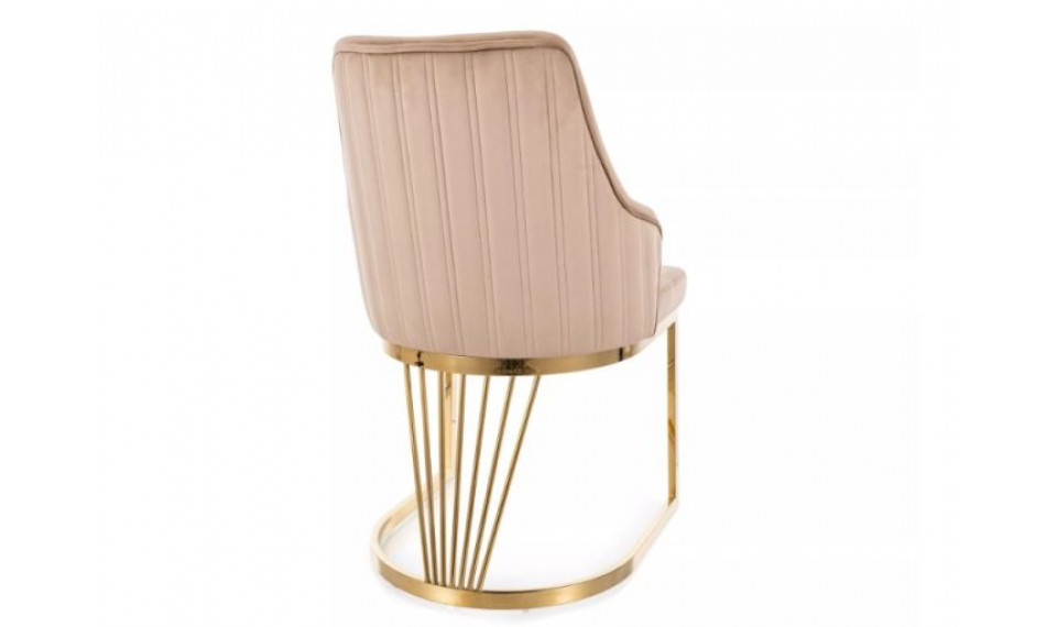 Chair ALURE velvet Bluvel 28/gold | Chairs | ZIPhome.ee image 2