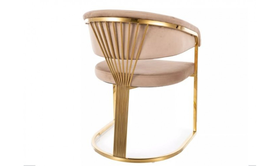Chair CROWN velvet Bluvel 28/gold | Chairs | ZIPhome.ee image 2