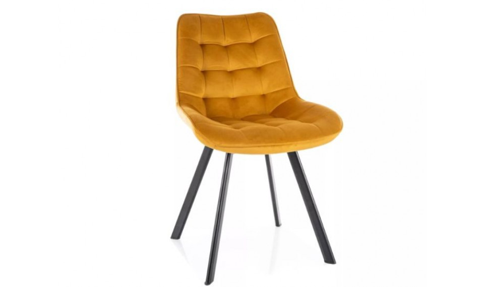 Dining chair MONTI velvet Bluvel 68 curry | Chairs | ZIPhome.ee image 1