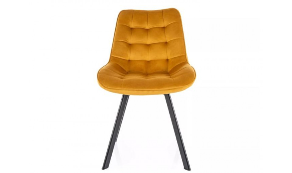 Dining chair MONTI velvet Bluvel 68 curry | Chairs | ZIPhome.ee image 3