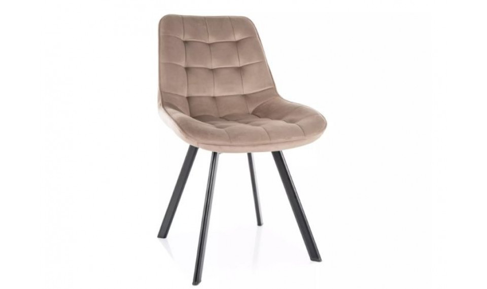 Dining chair MONTI velvet Bluvel 40 dark beige | Chairs | ZIPhome.ee image 1