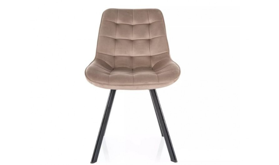 Dining chair MONTI velvet Bluvel 40 dark beige | Chairs | ZIPhome.ee image 3