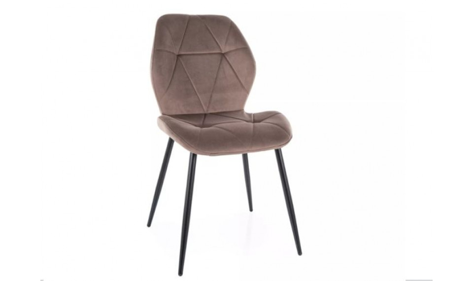 Dining chair RICK velvet Bluvel 38 cappuccino | Chairs | ZIPhome.ee image 1