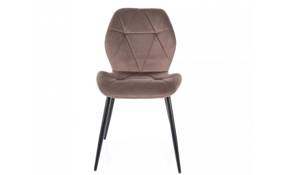 Dining chair RICK velvet Bluvel 38 cappuccino | Chairs | ZIPhome.ee image 3