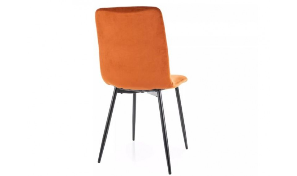 Daren Velvet kaneli 4215 tuoli | Tuolit | ZIPhome.ee kuva 2