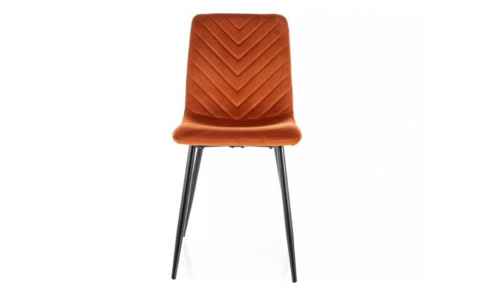 Daren Velvet kaneli 4215 tuoli | Tuolit | ZIPhome.ee kuva 3