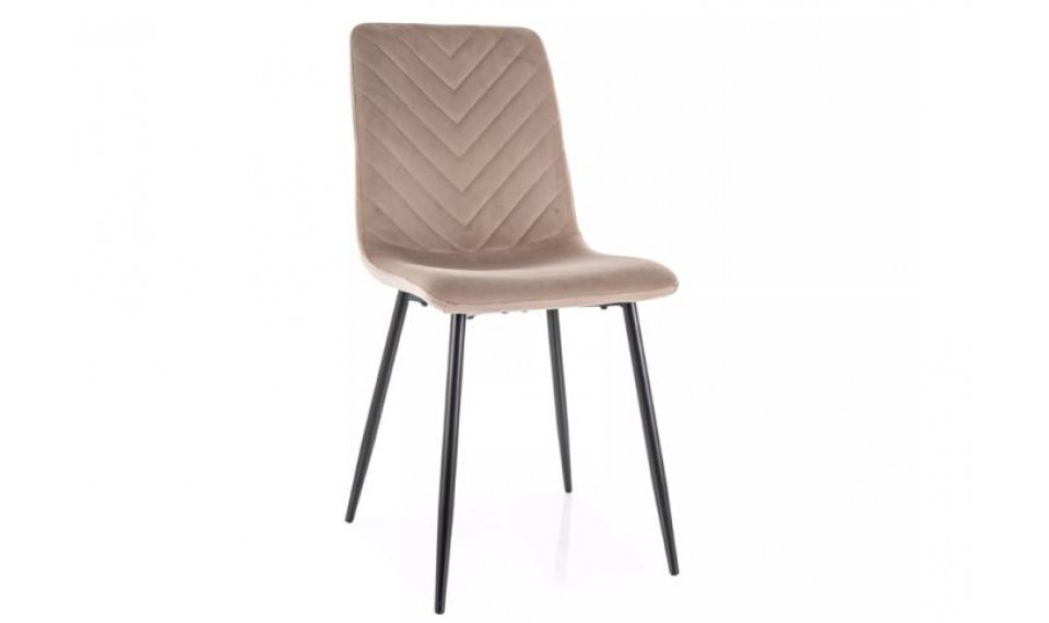 Dining chair DAREN velvet Bluvel 40 | Chairs | ZIPhome.ee image 1