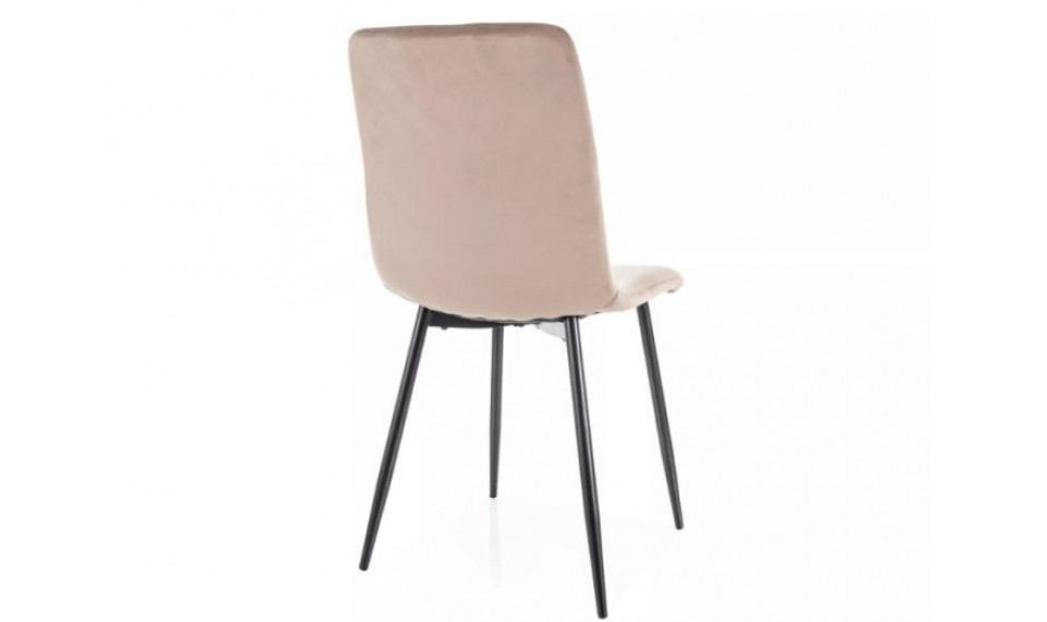 Dining chair DAREN velvet Bluvel 40 | Chairs | ZIPhome.ee image 2