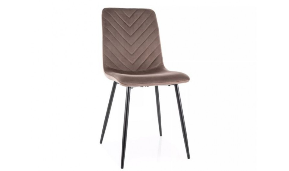 Dining chair DAREN velvet Bluvel 38 cappuccino | Chairs | ZIPhome.ee image 1