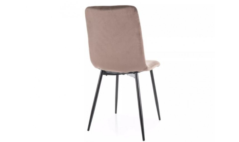 Dining chair DAREN velvet Bluvel 38 cappuccino | Chairs | ZIPhome.ee image 2