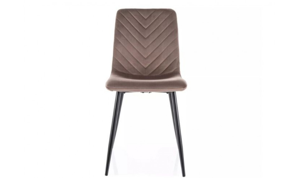 Dining chair DAREN velvet Bluvel 38 cappuccino | Chairs | ZIPhome.ee image 3