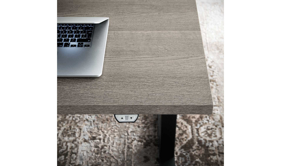 TIVOLI lift регулируемый по высоте письменный стол с панелью | Письменные столы | ZIPhome.ee изображение 3