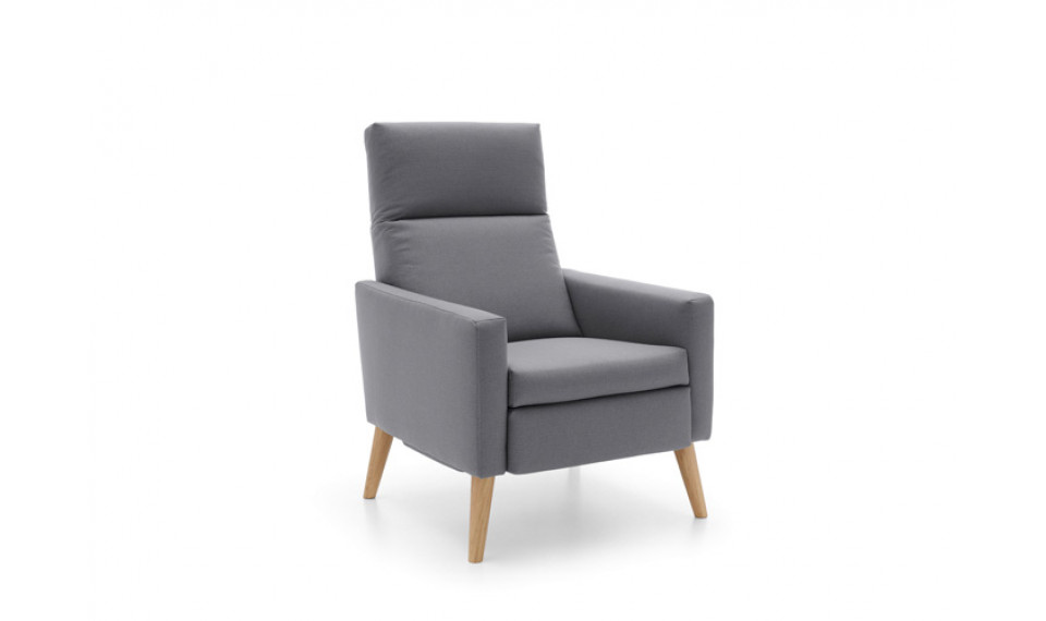 Kinga RF armchair | 100% laatu Kinga RF armchair | Nojatuolit | ZIPhome.ee kuva 3