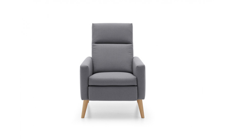 Kinga RF armchair | 100% laatu Kinga RF armchair | Nojatuolit | ZIPhome.ee kuva 2