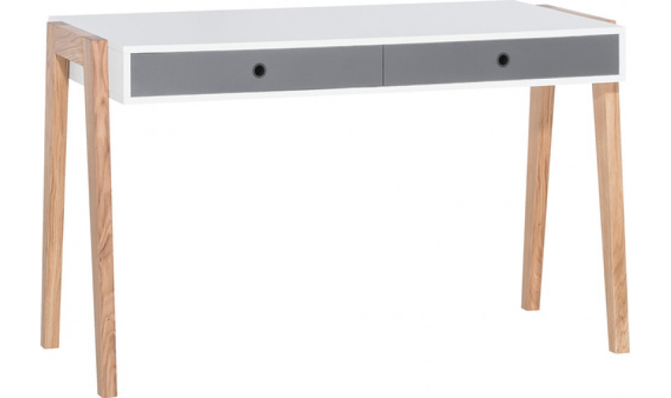 Kirjuruslaud CONCEPT | Concept | ZIPhome.ee pilt 1